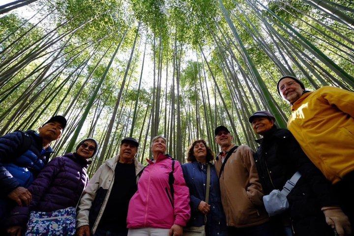 Visitante de primeira vez em Kyoto Private & Personalized Walking Tour