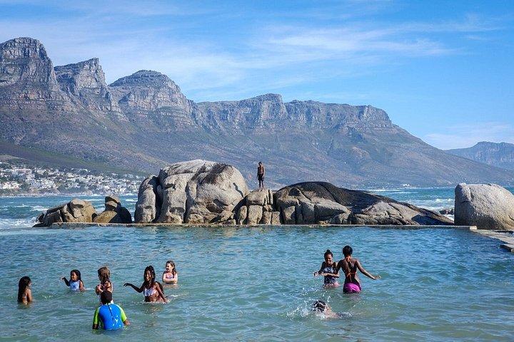 Private Tour Robben Island, Table Mountain & City Tour
