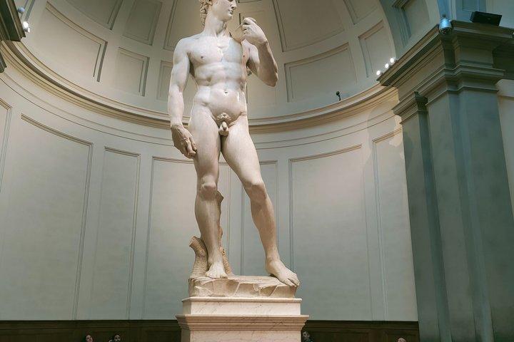 Excursão guiada em Florença - Accademia Gallery and Walking Tour