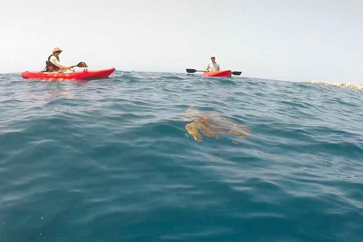 アルカラのサンセットカヤック旅行：シングルカヤック、最大6名