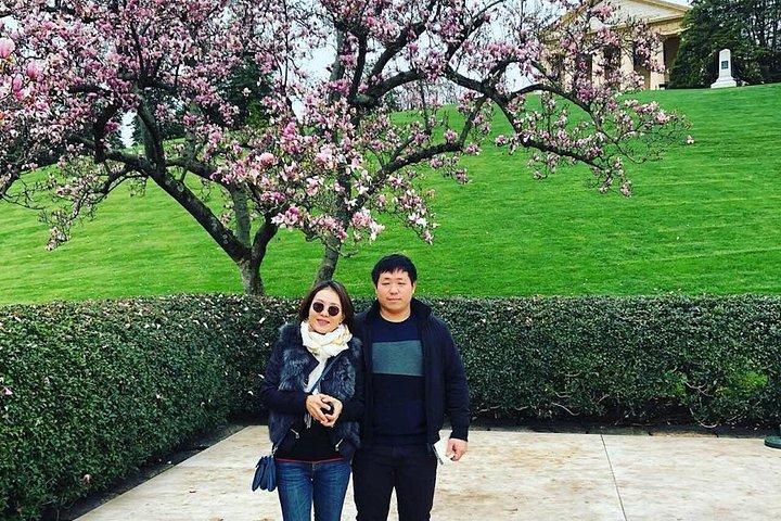 DC Monuments Tour with 10+ Stops & Arlington Cemetery Admission