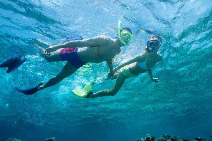 Hurghada : Panorama Halb-U-Boot & Schnorcheln mit Transfer