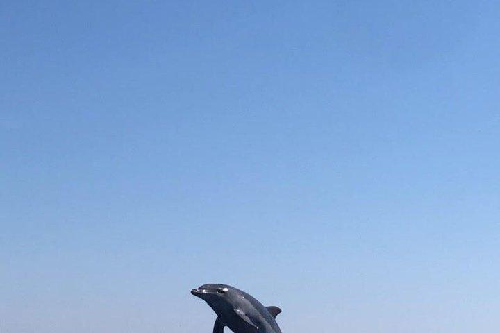 Zadar : Luxe eiland boottocht, snorkelen en onbeperkt wijn