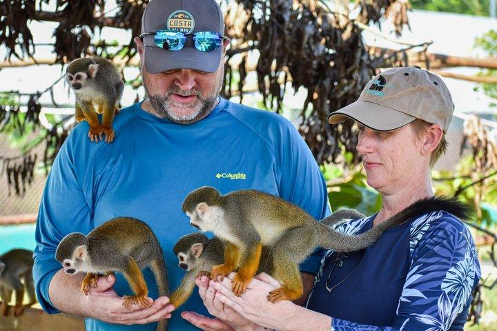 Monos Ardilla Triple Aventura con Tirolesas y Paseos a Caballo