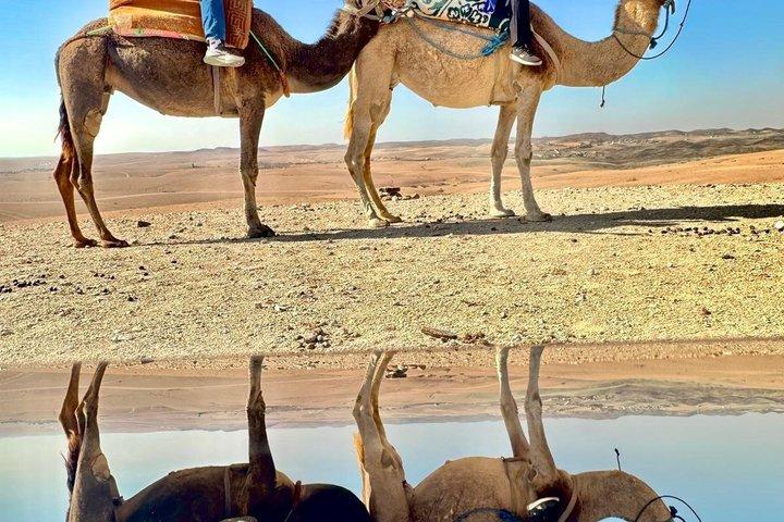 Marrakech Desert Camel Ride