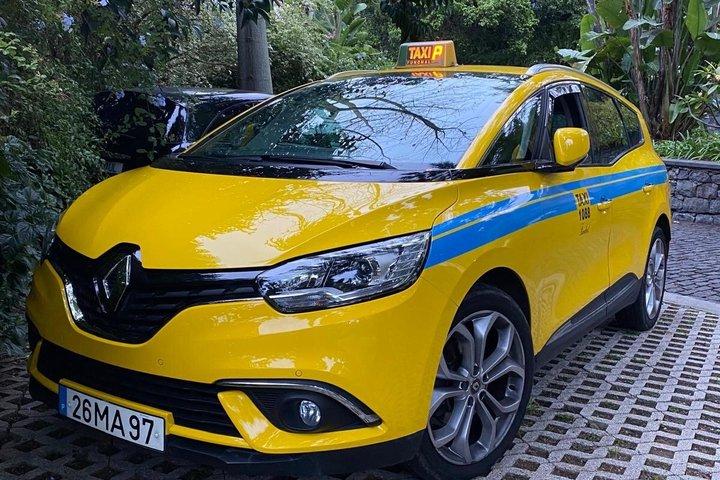 Privat halvdagstur på Madeira