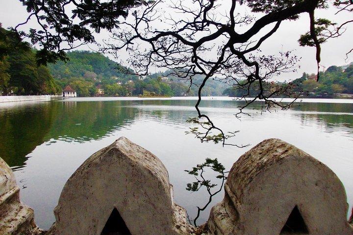 キャンディ：聖牙聖遺物入場チケット
