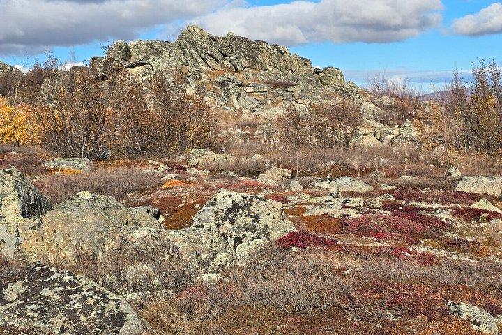 Arctic Circle Adventure: Journey on the Dalton Highway