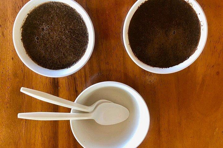 Coffee Tour - near Sámara & Carrillo Beach