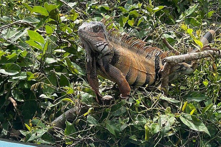 ガトゥン湖ネイチャークルーズパナマ運河体験