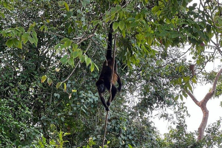 ガトゥン湖ネイチャークルーズパナマ運河体験