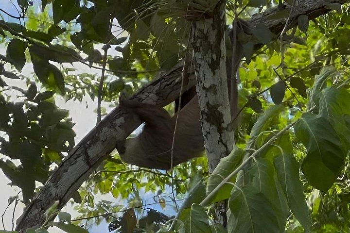 ガトゥン湖ネイチャークルーズパナマ運河体験