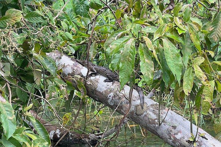 ガトゥン湖ネイチャークルーズパナマ運河体験
