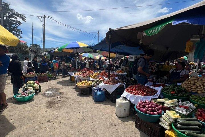 Market food tour and tortilla workshop