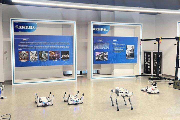 Hangzhou Tech Tour med Alibaba Campus og AI Experience