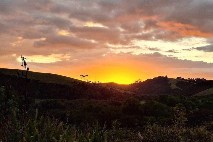 Dark Sky Stargazing Tours i Auckland