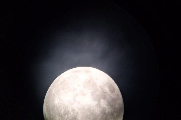 Dark Sky Stargazing Tours i Auckland