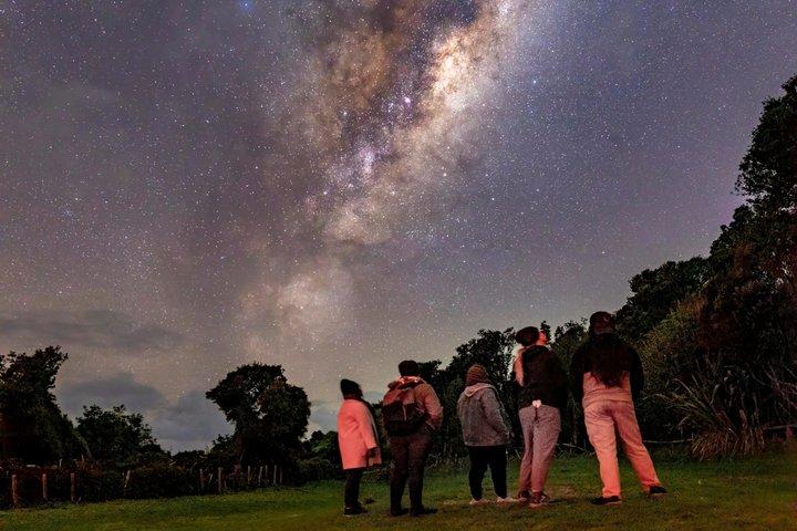 Visites d'observation des étoiles dans le ciel étoilé à Auckland