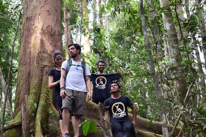 Jungle Trekking 1 giorno a Bukit Lawang