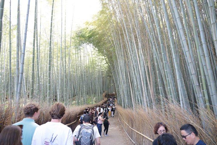 京都e-bikeで巡る宮殿、城、寺院、秘宝