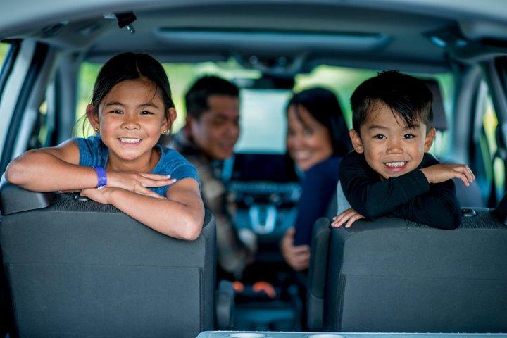 Customizable Private 10 hour Tour with Driver from Seoul