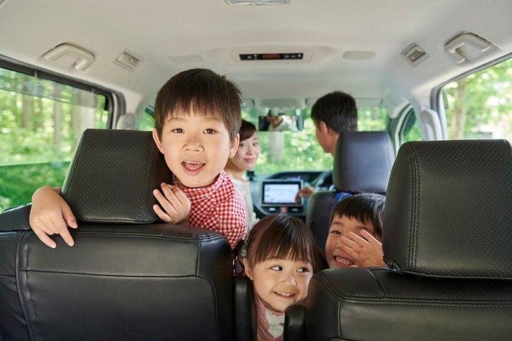 Customizable Private 10 hour Tour with Driver from Seoul