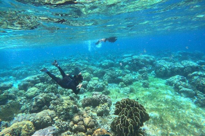 Twin Island-snorkelavontuur in Hiltungan en Nalsuan