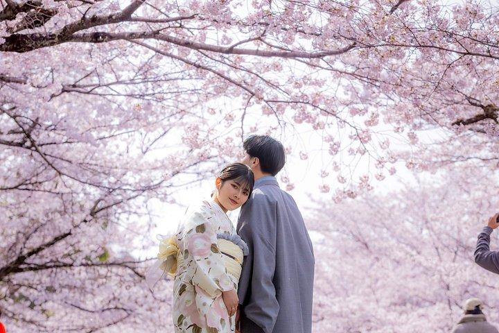 京都の伝統着物レンタル体験