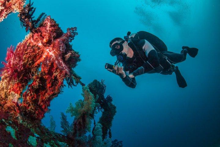 Fun Boat Dive for certified diver