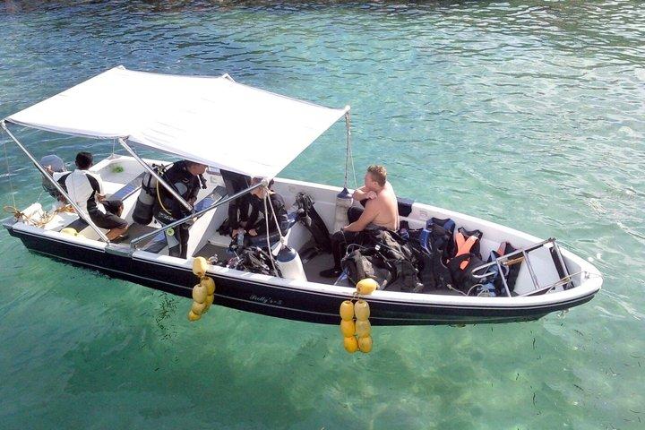Fun Boat Dive for certified diver