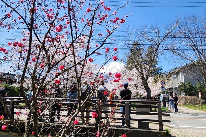 英語ドライバー付き富士山プライベートツアー