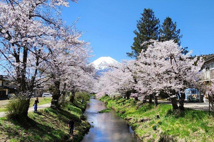 英語ドライバー付き富士山プライベートツアー