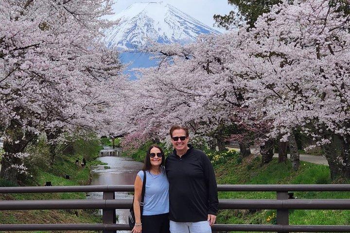 英語ドライバー付き富士山プライベートツアー