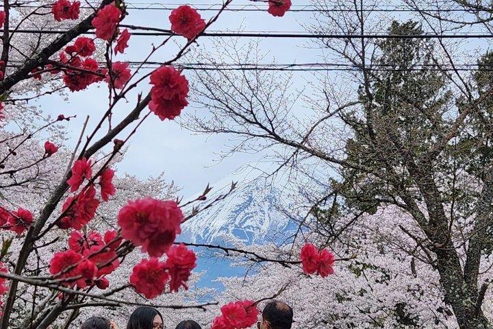 英語ドライバー付き富士山プライベートツアー