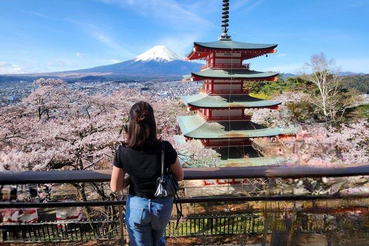 英語ドライバー付き富士山プライベートツアー