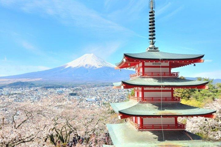 英語ドライバー付き富士山プライベートツアー