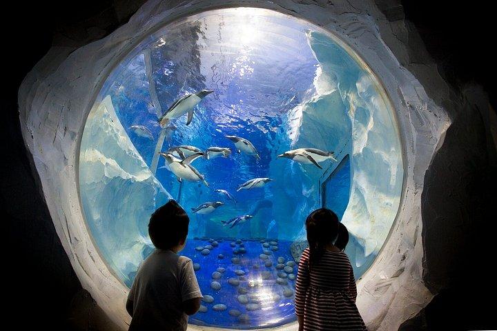 Combo Ticket Sea Life and Legoland Discovery Centre Birmingham