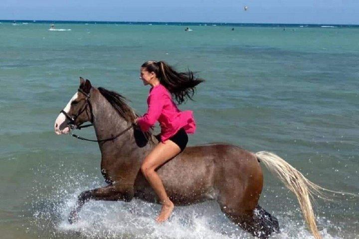 Hurghada : Reiten 2 Stunden Meer & Wüste mit Transfer