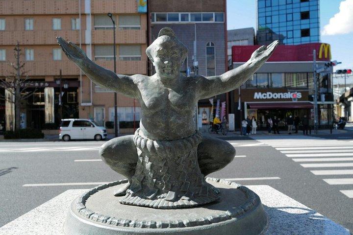 Tokyo Tour Privado de 6 Horas Sumo Show, Almoço e Guia Local