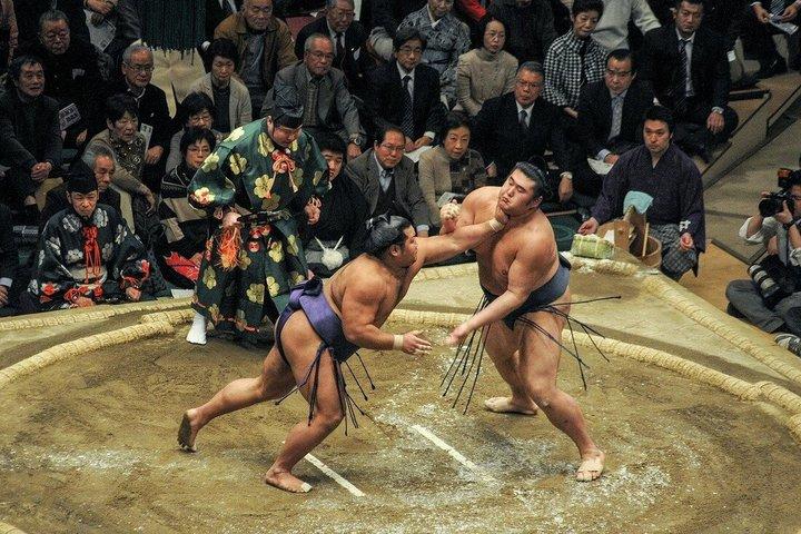 Tokyo Tour Privado de 6 Horas Sumo Show, Almoço e Guia Local