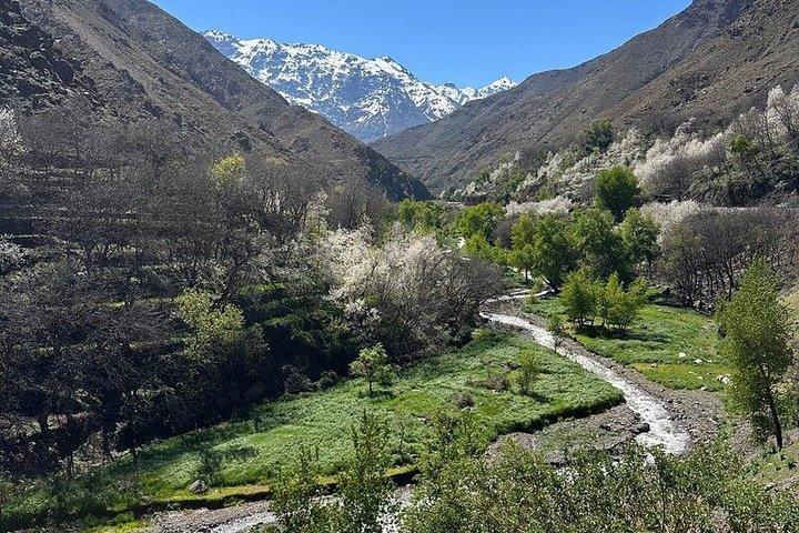 Marrakech: High Atlas, Imlil Valley & Waterfalls Hike
