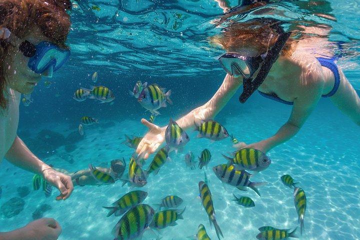 Cabo Catamaran Snorkel Cruise with Open Bar & Snack