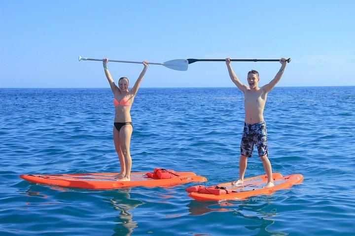 Cabo Catamaran Snorkel Cruise with Open Bar & Snack