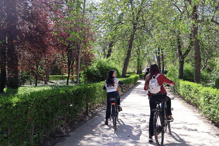 Madrid : Führung durch das Prado Museum mit optionalen Tapas oder E-Bike