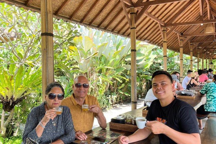 Ubud : tour privato della natura e del tempio