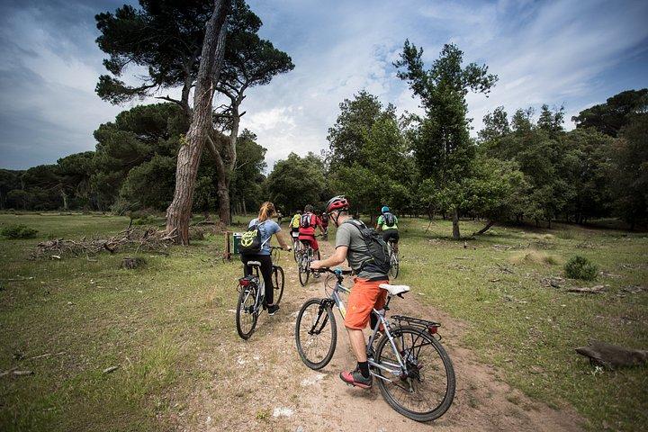 E-MTB leje i Pisa og Toscana