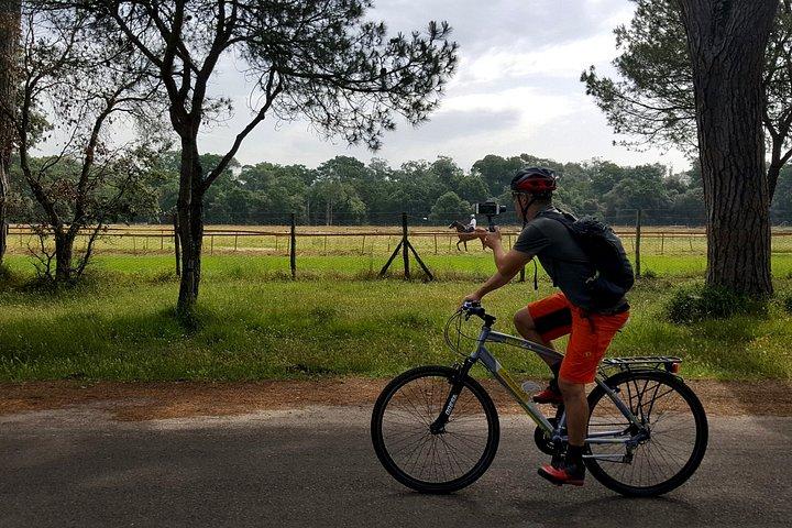 E-MTB leje i Pisa og Toscana
