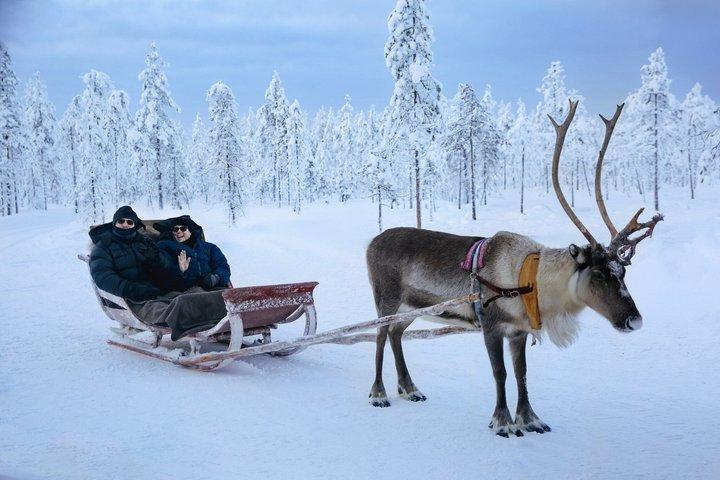 ロヴァニエミ : サーミ遺跡でトナカイサファリ＆ソリ乗り