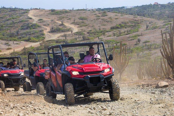 Aruba UTV & ATVアドベンチャー