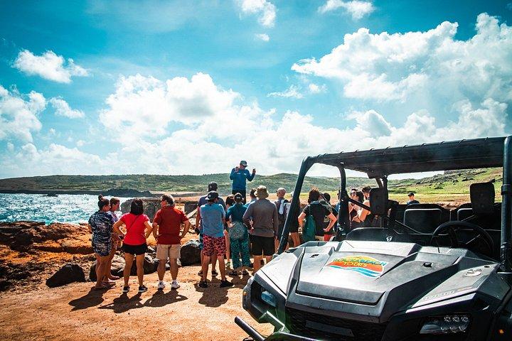 Aruba UTV & ATVアドベンチャー